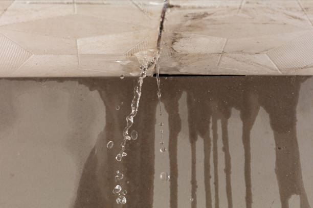 Professional Structural Drying technician working in Traverse City, MI